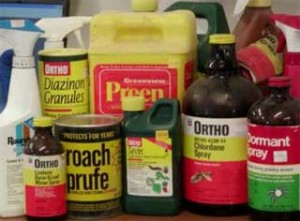 Cover photo for Organic Pest Management in Your Garden