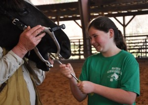 Cover photo for 2021 4-H Horse Health Expo March 20
