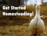 Cover photo for Series 2 of the Homesteading Classes to Include Evening Classes