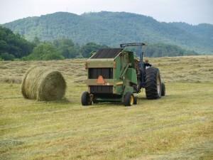 Cover photo for Beginner Farmer Online Series