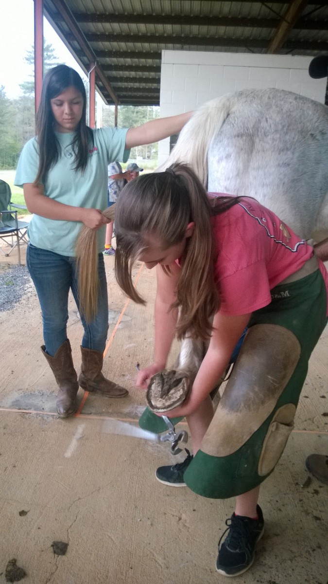 two girls learning to trim a horse's hoof