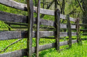 Cover photo for 2018 Agriculture Programs Announced