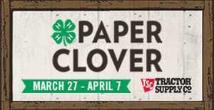 Paper Clover flyer image