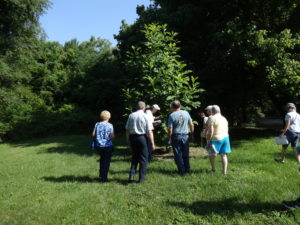 Cover photo for Tree Identification Workshop