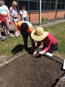 Cover photo for Master Gardener's Teaching Youth About Gardening