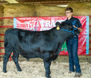 4-H member