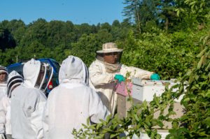 Honey Harvest