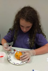 Cover photo for Resources for STEM and Exploring Activities for Youth at Home