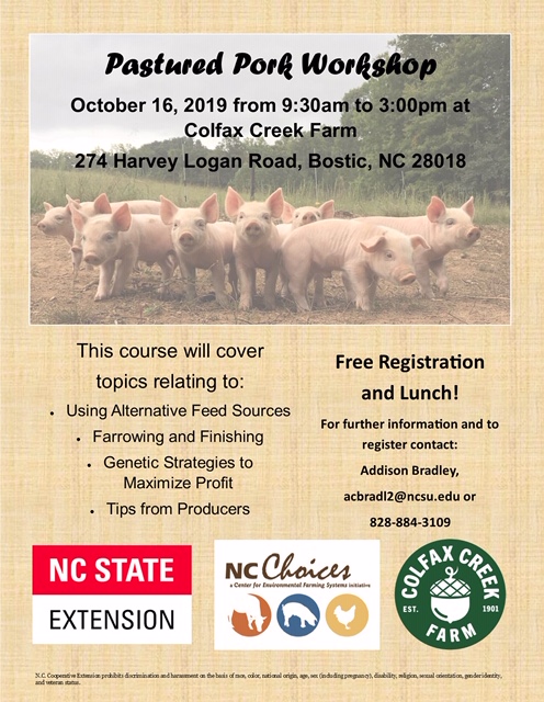 Workshop flyer