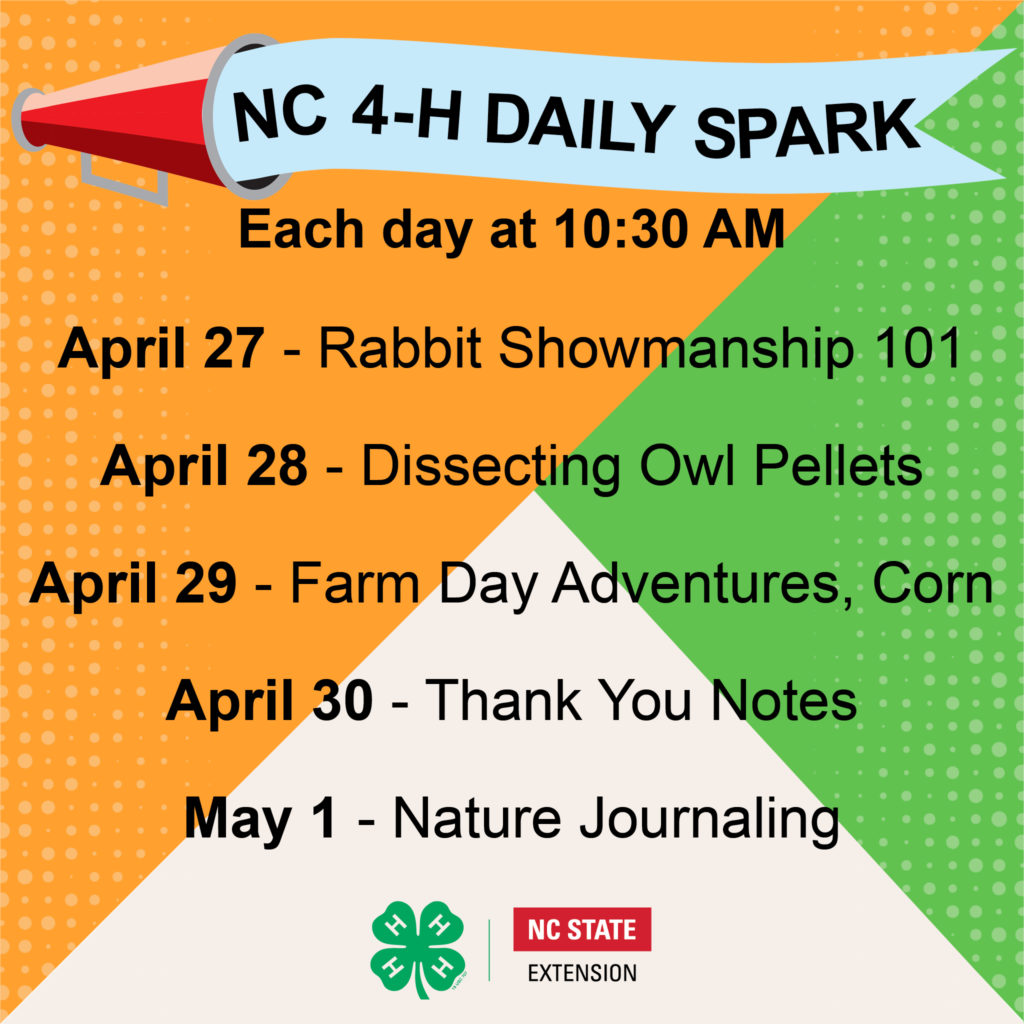 NC 4-H Daily Spark