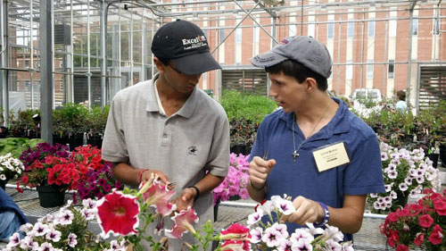 two people working with flowers