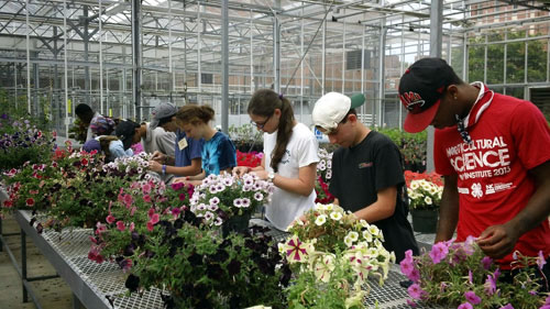 youth learning about flowers