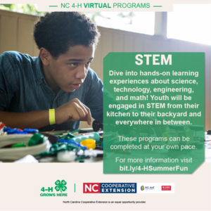 Cover photo for STEM Just One of Many Great 4-H Virtual Summer Programs!!!