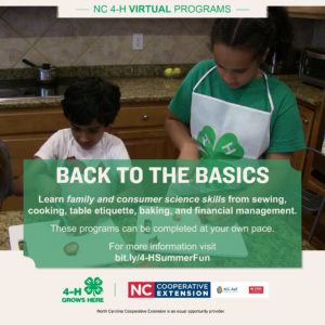 Cover photo for FCS Another Great 4-H Summer Virtual Program
