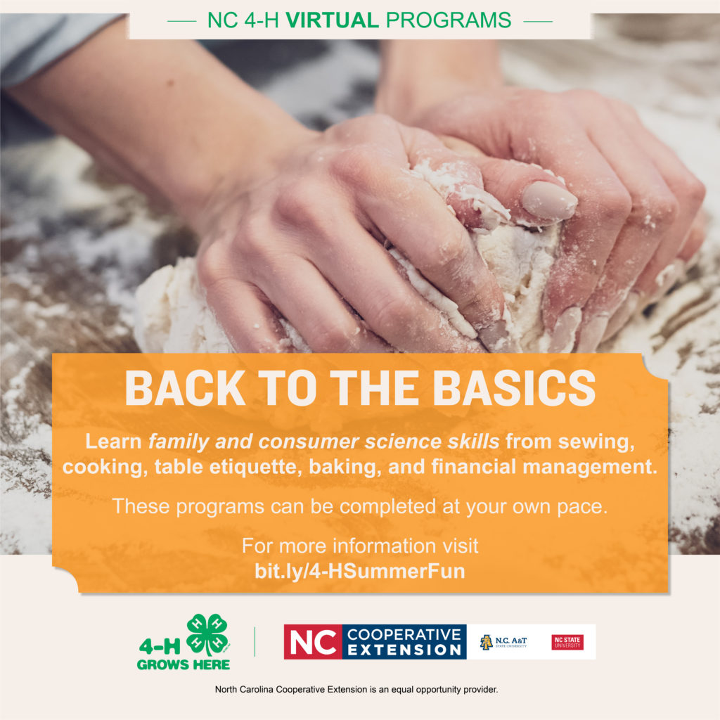 Back to the Basics event flyer