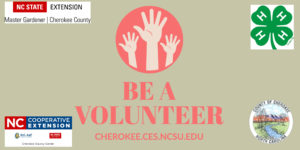 Be A Volunteer