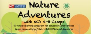 Cover photo for Don't Miss Out on Nature Adventures with NC 4-H Camps