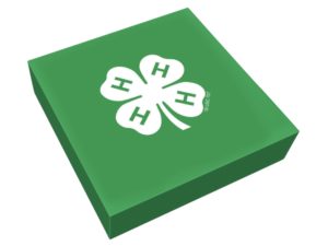 Cover photo for 4-H Activity Kits Coming Soon!