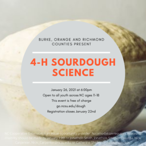 Cover photo for 4-H Sourdough Science