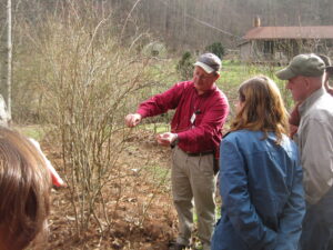 Dr. Bill Cline, NCSU Blueberry Specialist, sharing tips on how to prune blueberries.