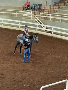 Cover photo for Love Horses Join in on the Fun with 4-H