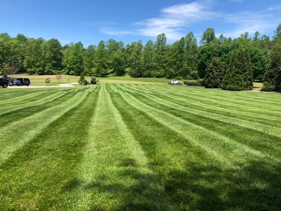 Lawn stripes