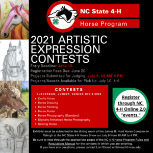 Cover photo for 2021 NC 4-H Horse Program Artistic Expression and Creative Writing Contests