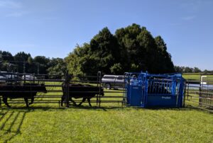 Cover photo for Spring Livestock Newsletter Is Now Available