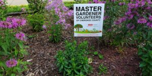 Cover photo for Fall Master Gardener Class Planned