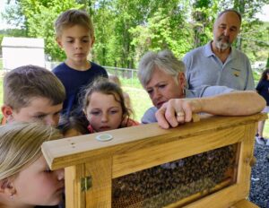 Cover photo for 1st Graders Explore the Busy World of Bees!!!