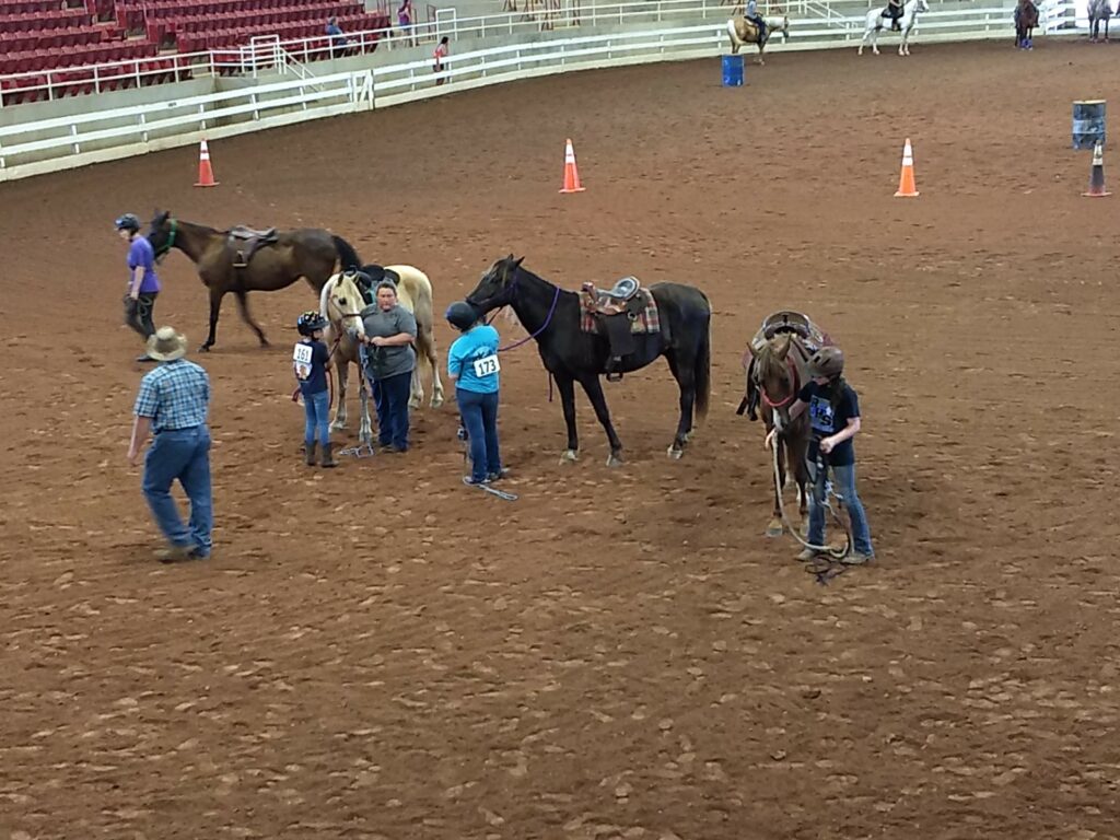 People walk horses around an arena with orange traffic cones.