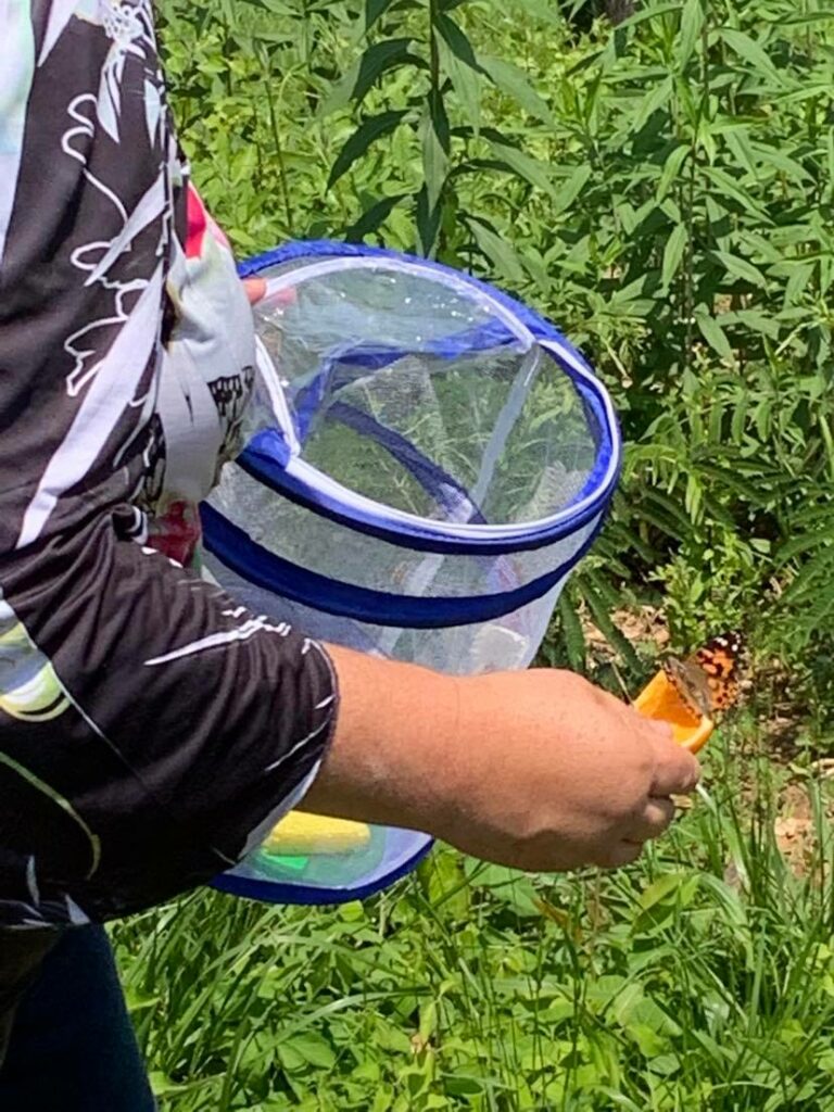 A person holding a butterfly in one hand and a net in the other.