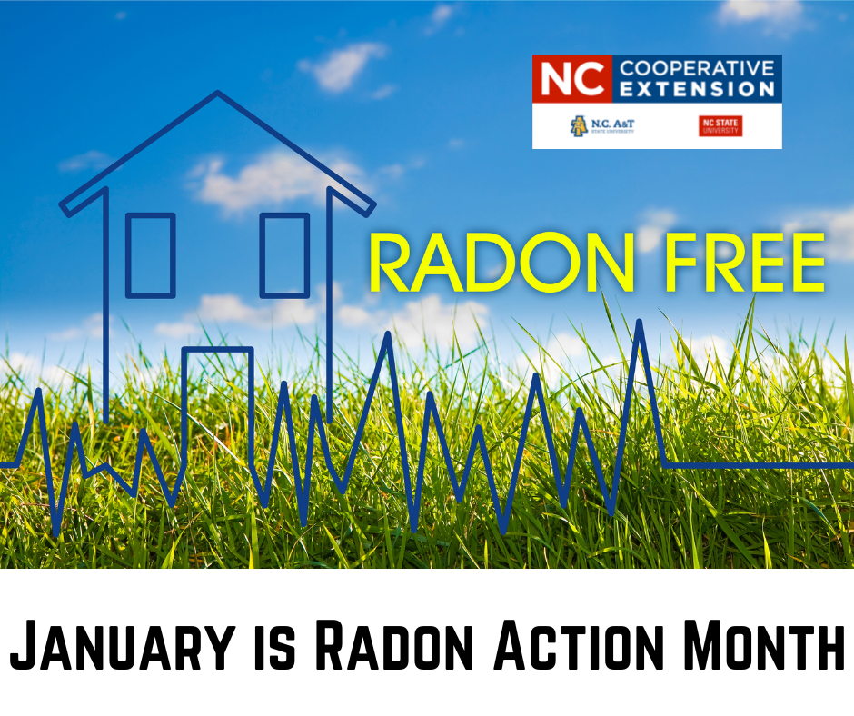 January is Radon Action Month