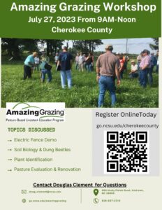 Amazing Grazing Workshop