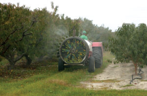 Applying Pesticides on Fruit Trees