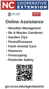 online assist