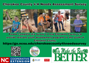 Cover photo for Please Complete Our Cherokee County 4-H Youth Needs Assessment Survey