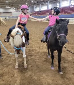 Cover photo for Register Now for the 2024 West District 4-H Horsemanship Clinic