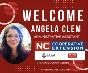 Cover photo for Welcome Angela Clem Our New Administrative Assistant