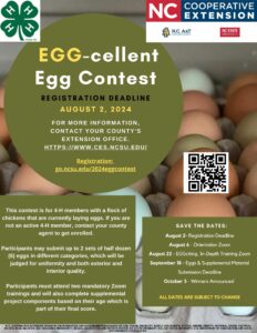 Cover photo for Egg-Cellent Egg Contest