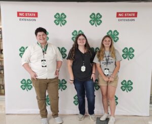 Cover photo for County Youth Attend 4-H Congress & State Presentations