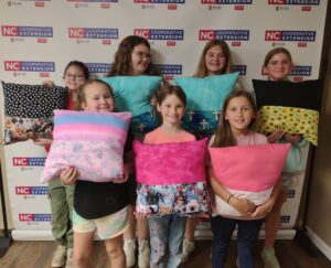 Cover photo for Youth 4-H Sewing Camp a Success!!