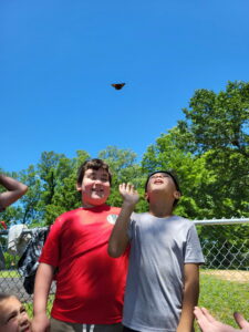 Cover photo for Butterflies and Baby Chicks Hatching Across Cherokee County
