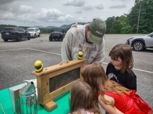 Cover photo for Two Local Schools Complete The Busy World of Bees