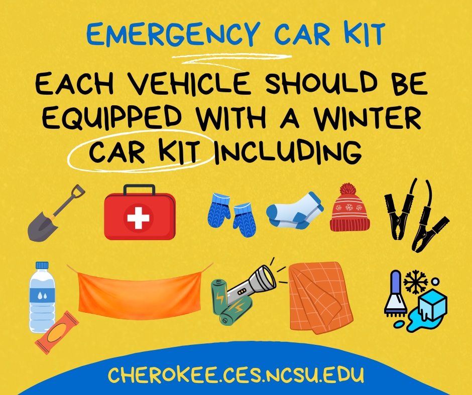 Emergency Car Kit